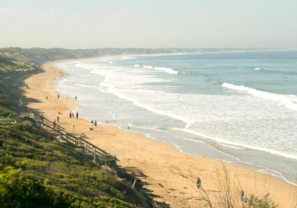 Ocean-grove-banner